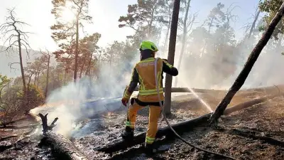 140 Jahre Feuerwehr Thale: 2026 wird zum Jahr der Feuerwehr