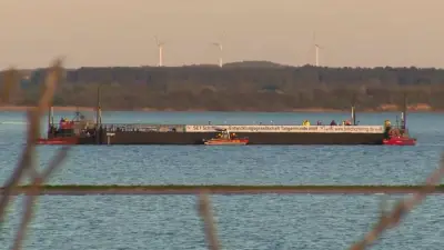 Beluga-Wal Timmy: Transport von Wismar zur Nordsee gestartet