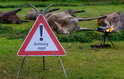 Brandenburgs Jägerprüfung: Fast jeder Zweite fällt durch - Schießen als große Hürde