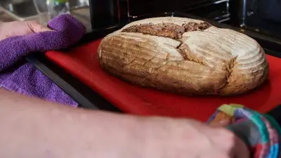 Brotgenuss und Wissenschaft: Experte spricht in Gatersleben über gesunden Weizen