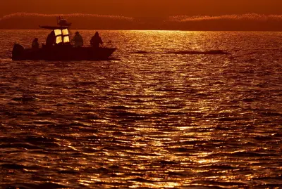 Buckelwal-Rettung vor Poel: Helfer unter Druck – Behörden fordern Nachbesserungen