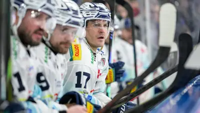 DEL oder DEL2? Dresdner Eislöwen warten weiter auf Klärung der Liga-Zugehörigkeit