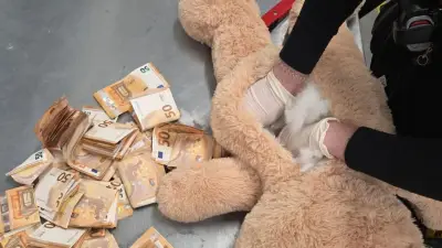 DHL-Mitarbeiter entdeckt 50.000 Euro in Teddybär: Geldbündel unter Plüschfell