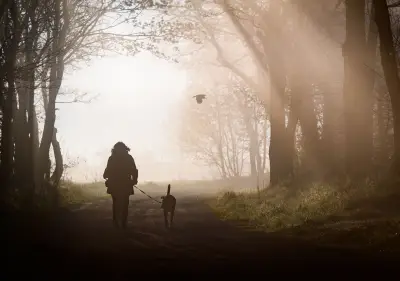 EU-Parlament: Hunde und Katzen müssen künftig gechippt werden