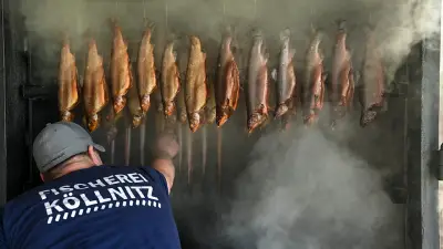 Fischerei Köllnitz meldet Insolvenz an: 19 Mitarbeiter betroffen