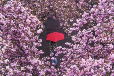 Frühjahrsdepression: Mythos oder Realität? Was wirklich hinter der Frühlingsmüdigkeit steckt