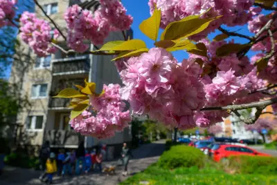 Frühlingshafte 20 Grad im Osten: DWD erwartet sonniges Wetter mit frostigen Nächten