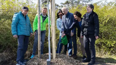 Frühlingspflanzung in Aschersleben: 22 neue Bäume mit persönlichen Geschichten