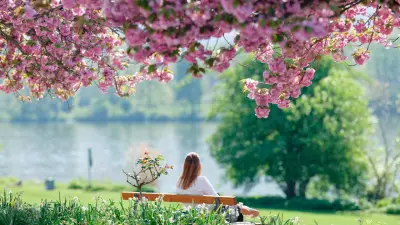 Frühlingswetter lockt Zecken: So schützen Sie sich beim Spaziergang