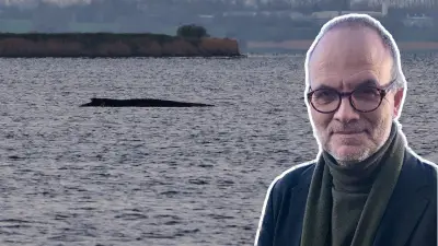 Gestrandeter Wal Timmy in der Ostsee: Symbol für ein Land in der Krise?