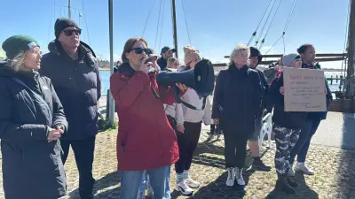 Gestrandeter Wal vor Poel: Tierschützer fordern Rettungsaktion, Experten sehen kaum Hoffnung