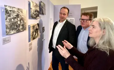 Graue Skabiose im Fokus: Museum Schloss Bernburg zeigt Ausstellung zur seltenen Wildpflanze