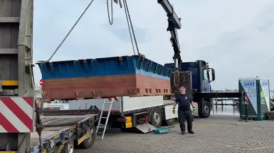 Greenpeace-Prognose: Geretteter Buckelwal könnte in der Nordsee ertrinken