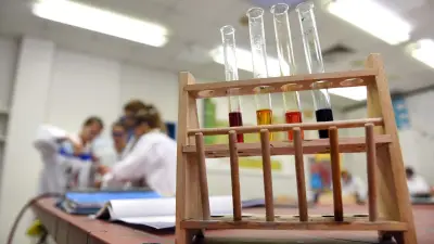 Gymnasien in MV: Weniger MINT-Leistungskurse bereiten Sorge