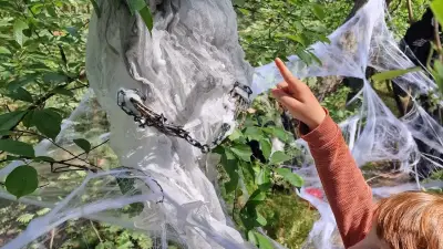 Halloween in MV: 5 gruselige Veranstaltungen für schaurig-schöne Erlebnisse