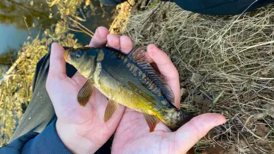 Jugendtag in Boizenburg: Angelnachwuchs entdeckt Natur und Angelspaß an der Elbe