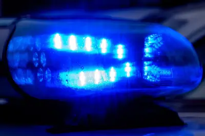 Kleinflugzeug stürzt bei Elsterheide ab – Pilot überlebt Notlandung unverletzt