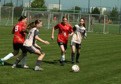 Landespokal der Frauen: HFC gegen Germania Wernigerode live im Stream