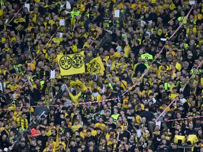 Medizinischer Notfall bei Bundesliga-Spiel: BVB-Stadion erlebt Reanimation