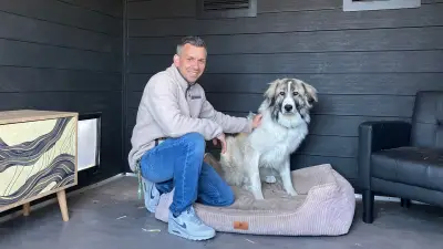 Neues Hundedorf im Harz: Mission Zweite Chance rettet traumatisierte Hunde