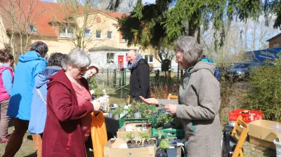Nossendorfer Kulturtreff startet mit erfolgreicher Pflanzenbörse und vielfältigem Rahmenprogramm