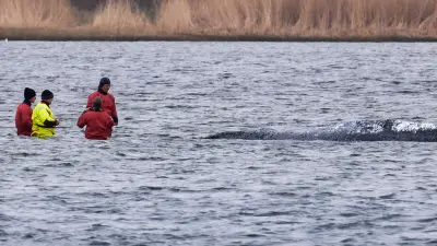 Ostsee-Wal: Backhaus wird emotional und attackiert Wissenschaftler