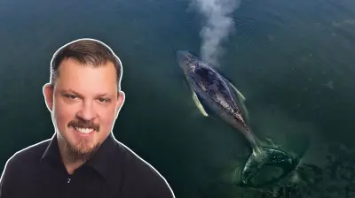 Ostsee-Wal-Drama: Retter kämpfen verzweifelt - Doch das Ende scheint unausweichlich