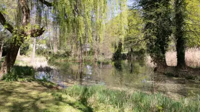 Polizeitaucher suchen vermissten Geschäftsmann aus Chile in Berliner Tiergarten-See