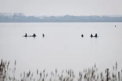 Rettungsaktion für gestrandeten Buckelwal vor Poel: Ausgang ungewiss