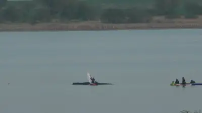 Rettungsaktion für Timmy: Helfer entfernen Sonnenschutz bei anhaltender Bergung