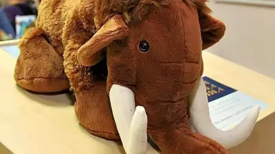 Rotary-Preis „Junges Mammut“: Jugendwettbewerb im Landkreis Mansfeld-Südharz startet erneut