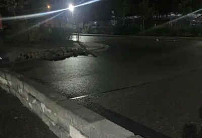 Rätselhafte Steinmauer auf Schulbusbahnhof in Lindhorst blockiert Fahrbahn