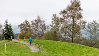 Sachsen-Anhalt: Grauer Wochenstart mit Regen, ab Mittwoch etwas Sonne