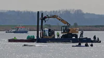 Schwierige Mission in der Ostsee: Rettungsversuch des Buckelwals zieht sich in die Länge