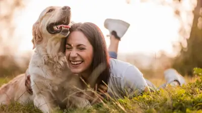Studie: Fünf Minuten Spielen stärken Bindung zum Hund mehr als Training