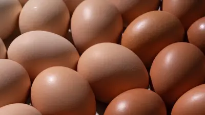 Temu ruft gefährlichen Eierkocher zurück: Lebensgefahr durch Stromschlag droht