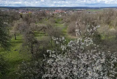Thüringen investiert Millionen in den Erhalt historischer Streuobstwiesen