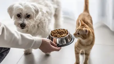 Tierfutter-Rückruf: Tackenberg warnt vor nicht deklarierten Schweinebestandteilen