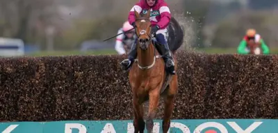 Tragödie bei Grand Nationals: Siegerpferd Gold Dancer nach schwerer Verletzung eingeschläfert