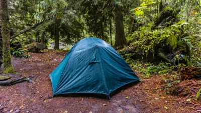Tragödie in Dänemark: 24-jähriger Deutscher beim Zelten im Wald tot aufgefunden