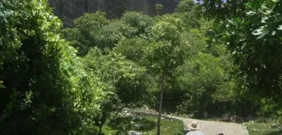 Tragödie in Haiti: Mindestens 30 Tote bei Massenpanik an Weltkulturerbe-Festung