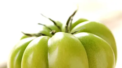 Unsichtbare Gefahren im Essen: Acrylamid, Solanin und Lektine als Risiko