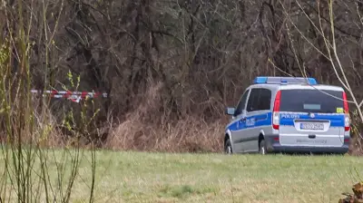 Verstörender Fund in Sachsen: Jagdhund schleppt Menschenschädel aus dem Wald