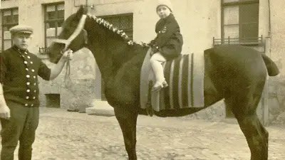 Von Kentucky zurück nach Halle: Die Tennemanns und ihr Jahrhundert in der Saalestadt