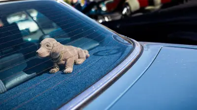 Wackeldackel im Aussterben begriffen: Studie enthüllt Wandel der Auto-Accessoires