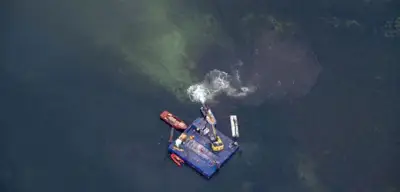 Wal-Rettung vor Poel: Initiative droht mit nächtlichem Transportstart