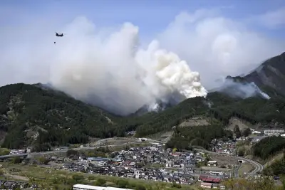 Waldbrand in Japan: Tausende fliehen vor Flammen in Iwate