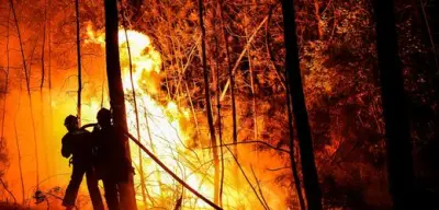 Waldbrände in Japan: Flammen bedrohen Wohngebiet in Ōtsuchi