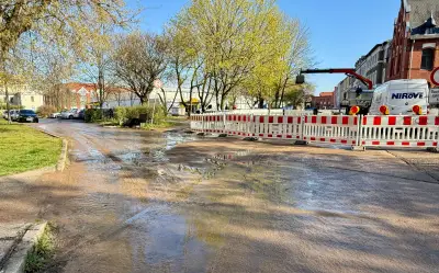 Wasserrohrbruch in Dessau-Mitte behoben: Alle Haushalte wieder mit Trinkwasser versorgt