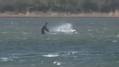 Wetterumschwung in Timmy: Bewässerung läuft wieder an